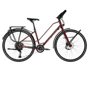 Vélo Grande Globe-Trotteuse Expédition 28"/700C Histoire Bike