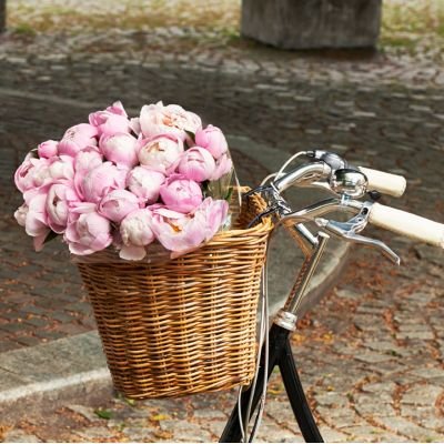 Grand panier sur guidon de vélo en rotin Darcy L Basil – Image 6